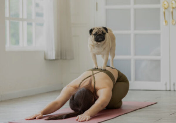 Puppy Pose Yoga
